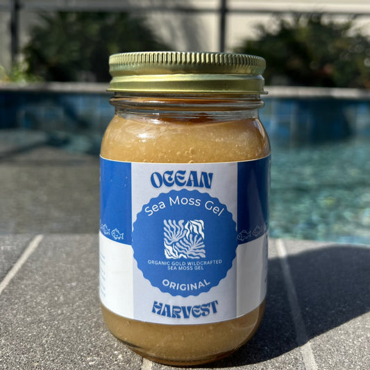Plain Wild Harvest Sea Moss Gel