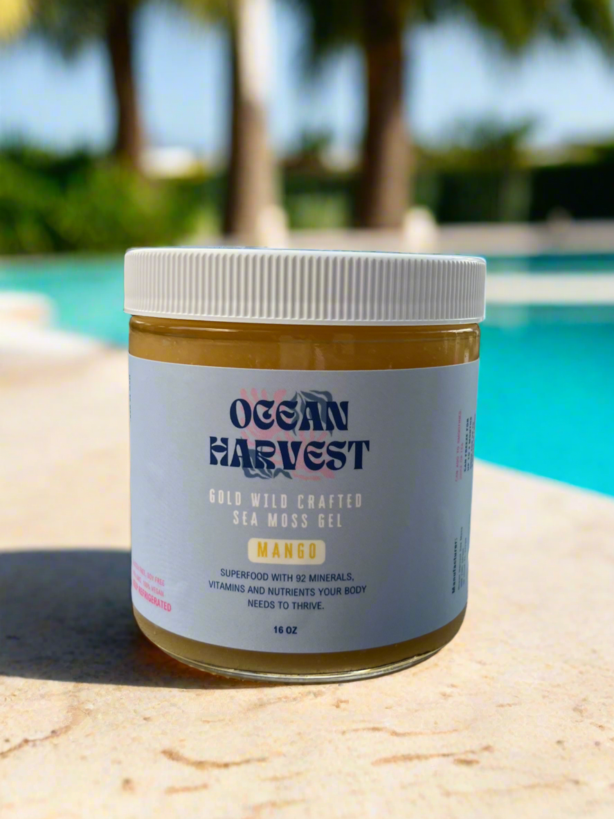 Mango Wild Harvested Sea Moss Gel