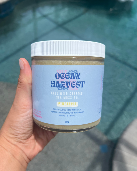 Pineapple Wild Harvested Sea Moss Gel