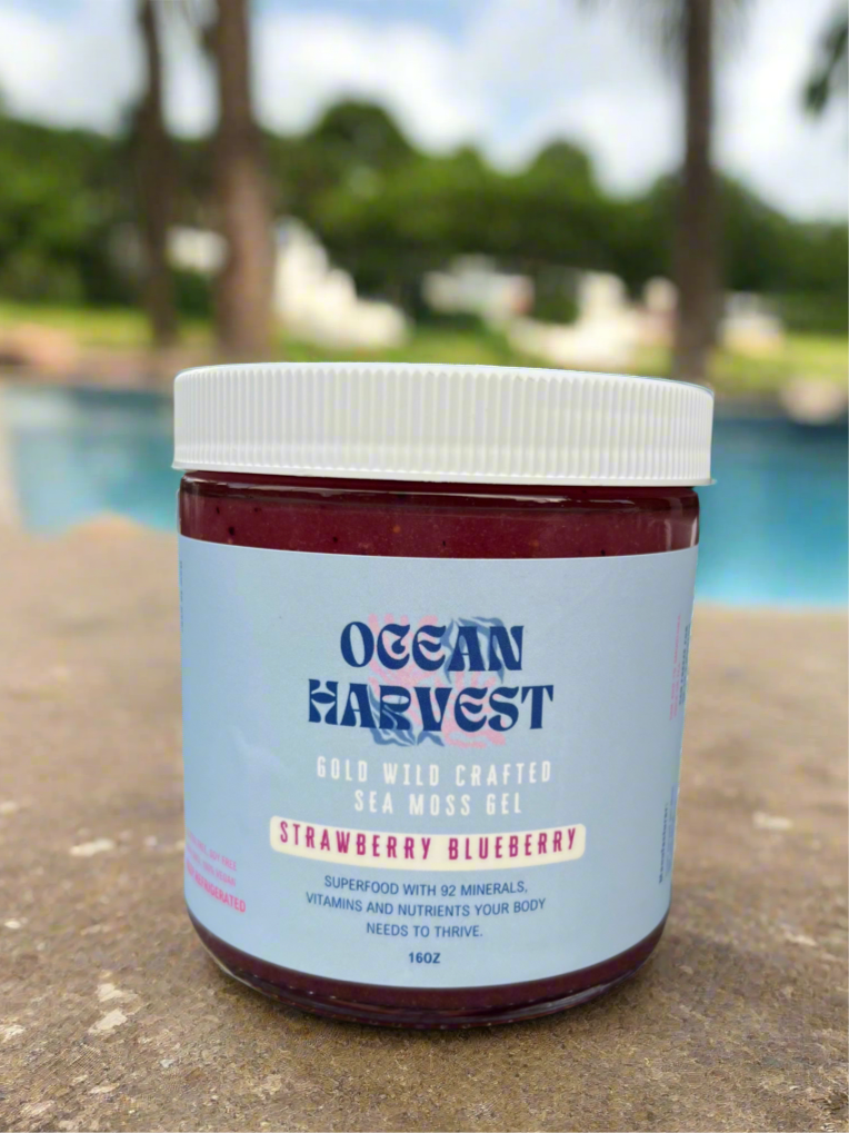 Strawberry and Blueberry Wild Harvest Sea Moss Gel