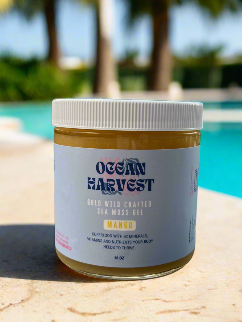 Mango Wild Harvested Sea Moss Gel