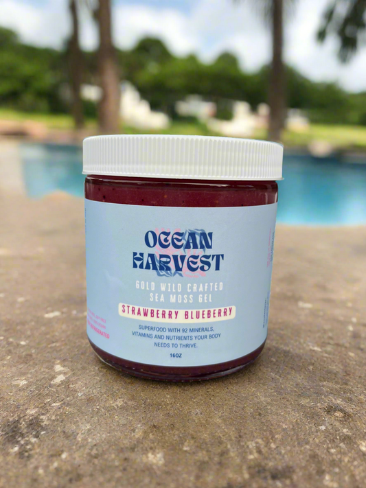 Strawberry and Blueberry Wild Harvest Sea Moss Gel