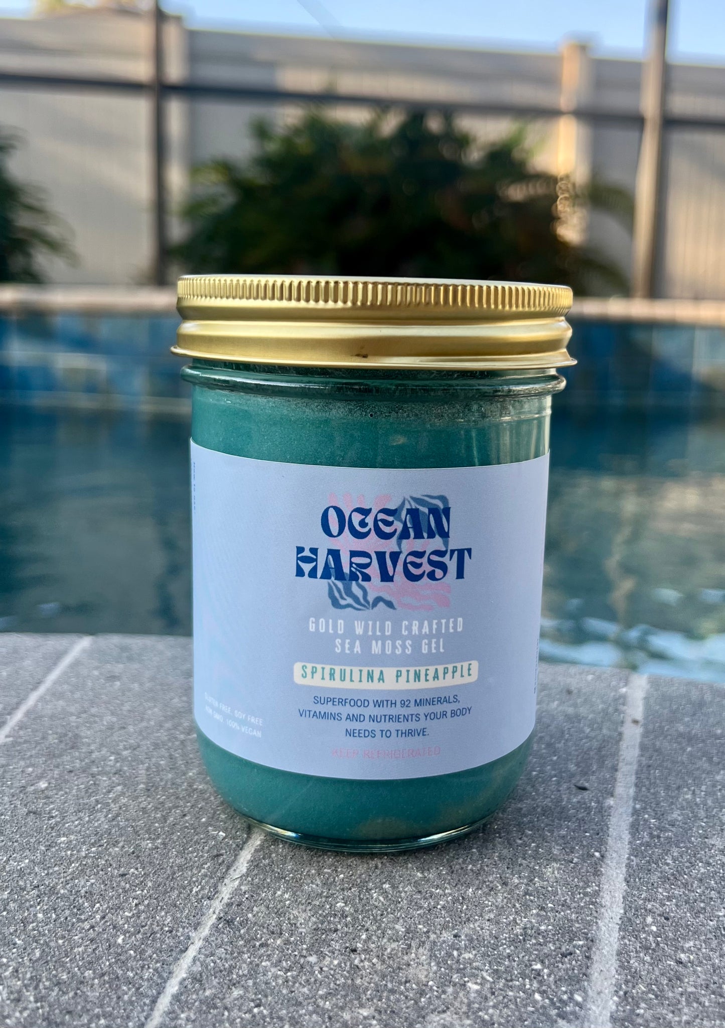 Spirulina and Pineapple Wild Harvested Sea Moss Gel