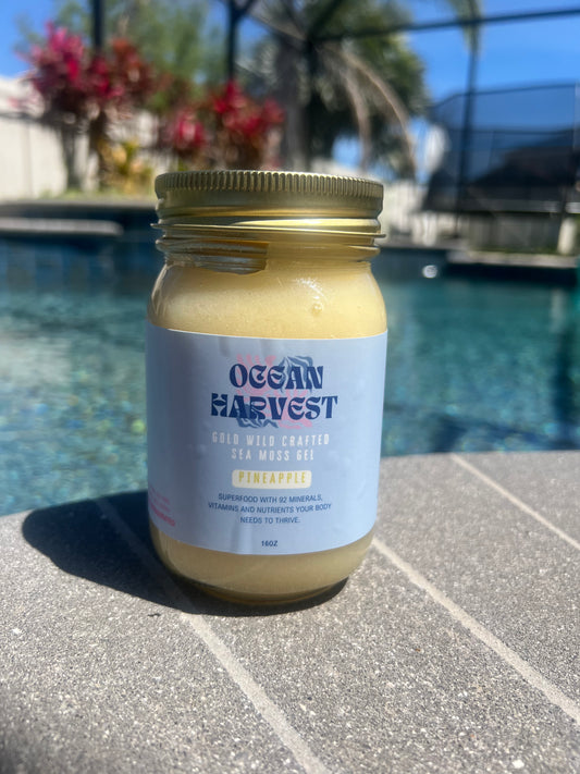 Pineapple Wild Harvested Sea Moss Gel