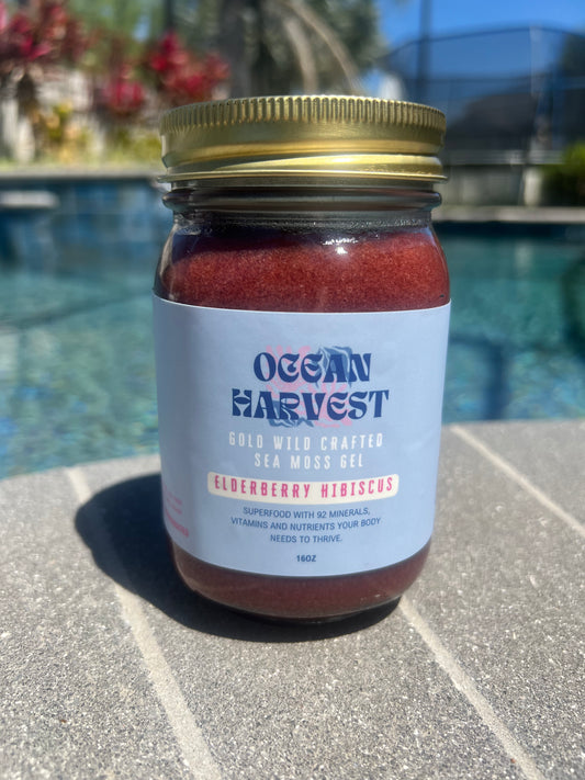 Elderberry and Hibiscus Wild Harvested Sea Moss Gel