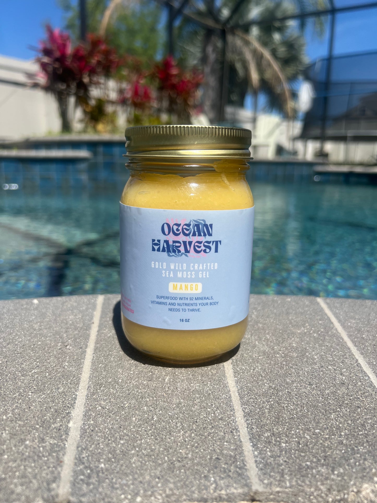 Mango Wild Harvested Sea Moss Gel
