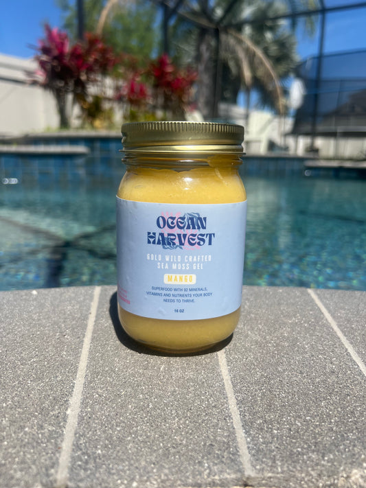 Mango Wild Harvested Sea Moss Gel