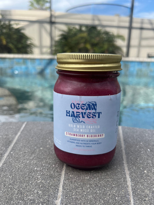Strawberry and Blueberry Wild Harvest Sea Moss Gel